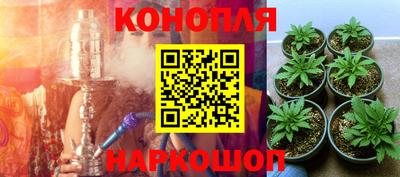 МДМА Новозыбков