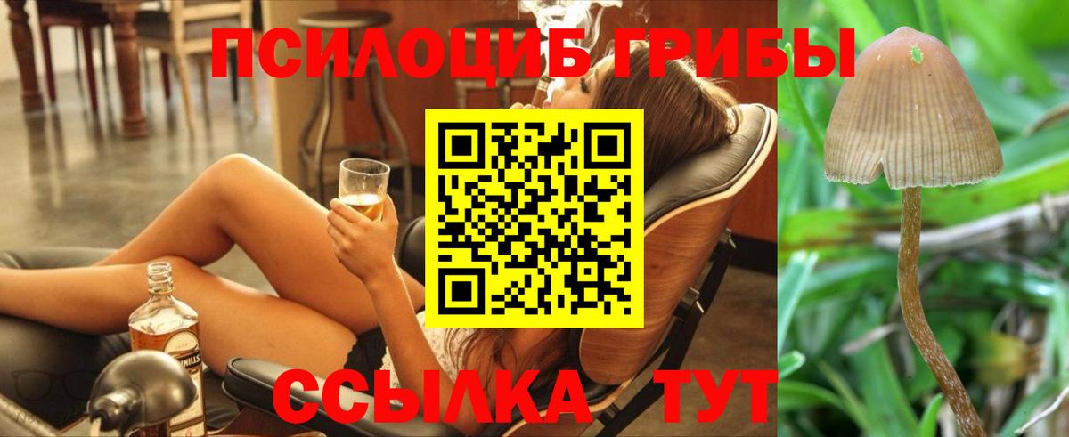 Тихорецк  продажа наркотиков  Вход с VPN  Псилоцибиновые грибы мухоморы 